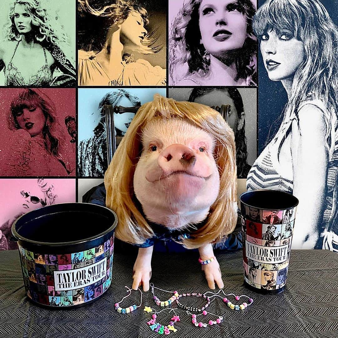 Priscilla and Poppletonさんのインスタグラム写真 - (Priscilla and PoppletonInstagram)「In our Taylor Swift Era…I’m pretty sure we’re her PIGGEST fans. I’m in my Lover Era and Posey is in her Midnight Era (she said she picked it for the snacks). We made friendship bracelets and are ready for a concert or movie night. Who’s up for a Girl’s Night Out?🎵🎥🐷👩🏼 #Swifties #TaylorSwift #ErasTour #PrissyandPosey #PrissyandPop」10月16日 22時51分 - prissy_pig