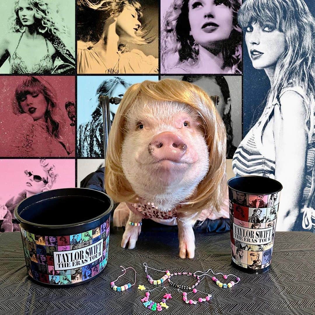 Priscilla and Poppletonのインスタグラム：「In our Taylor Swift Era…I’m pretty sure we’re her PIGGEST fans. I’m in my Lover Era and Posey is in her Midnight Era (she said she picked it for the snacks). We made friendship bracelets and are ready for a concert or movie night. Who’s up for a Girl’s Night Out?🎵🎥🐷👩🏼 #Swifties #TaylorSwift #ErasTour #PrissyandPosey #PrissyandPop」