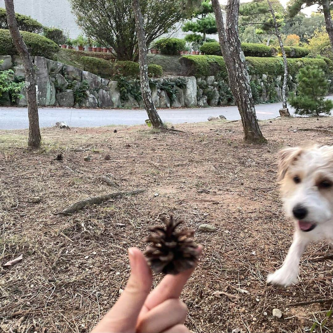 渡辺菜月のインスタグラム