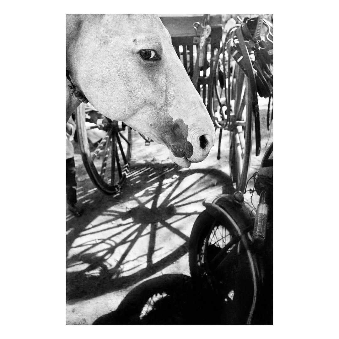 Magnum Photosさんのインスタグラム写真 - (Magnum PhotosInstagram)「“Photography is about light. There is nothing artificial about it. The magic of the moment cannot be artificially created because light comes from the sun and magnifies the small details of life.” – Larry Towell (@larrysgeneralstore)  In exploring the theme Written by Light, a selection of photographs featured in the Square Print Sale curation celebrate the authenticity of light in harmonious tandem with its counterpoint, shadow.   Guy Le Querrec captures a stream of light in the form of molten metal, bursting unapologetically from a furnace as workers heat instruments in its imposing glow.  In a testament to her faith and mission, a photo from Larry Towell sees a pilgrim lighting a candle in the Church of the Holy Sepulchre, Jerusalem, cast in a ray of light cascading from above.  A dream-like image by Erich Hartmann depicts a pillow atop a bed illuminated by a misshapen grid of light, invoking a surreal allure of repose to the viewer.  🔗 Browse the collection, curated in collaboration with @worldpressphoto, for one week only at the link in the @magnumphotos bio.  Magnum Photos and World Press Photo will be donating a portion of the profits from the sale to the International Committee of the Red Cross (ICRC).  PHOTOS (left to right):  (1) Young men under a reed roof. Torremolinos, Spain. 1951. ©  @herbert_list / Magnum Photos  (2) Atatürk Mausoleum. Ankara, Turkey. 1954. © George Rodger / Magnum Photos  (3) In church. Peki’in, Israel. 1957. © @michabaram.archive / Magnum Photos  (4) Horse and wheels. Old Delhi, India. 1966. © @raghurai.official / Magnum Photos  (5) Forges et Laminoirs steel factory in Saint-Brieuc. Côtes-d’Armor. Brittany, France. March 1973. © Guy Le Querrec / Magnum Photos  (6) Jerusalem, Israel. 1956. © Inge Morath / Magnum Photos  (7) Soldiers search bus passengers along the Northern Highway. El Salvador. 1980. © @susanmeiselas / Magnum Photos  (8) Pilgrim. Church of the Holy Sepulchre. Jerusalem. 2000. © Larry Towell (@larrysgeneralstore) / Magnum Photos  (9) Artist and photographer Mikhael Subotzky, during the 70th Magnum AGM in New York, USA. 2017. © @jeromesessini / Magnum Photos  (10) Maine, USA. 1975 © Erich Hartmann / Magnum Photos」10月16日 23時01分 - magnumphotos