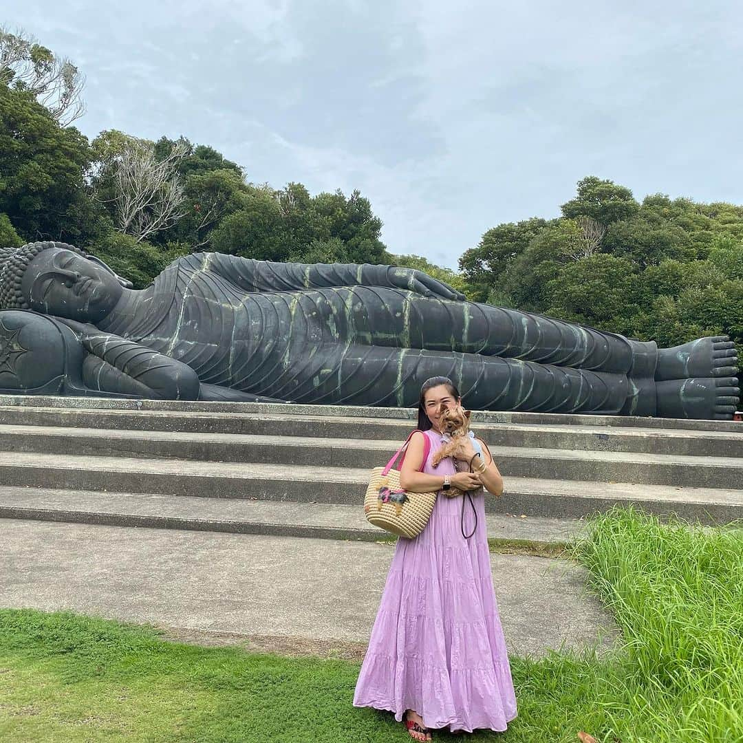 Rubyのインスタグラム：「📸2023.9.3 📍常楽山萬徳寺(千葉県館山市)  ここはタイ？ と思うような山道を歩み進めると 突然現れる涅槃仏  日本に涅槃仏があるなんて始めて知りました (我が家の吉方位旅行は夫が全て行き先決めてくれるので、私は着いてからのお楽しみなの)  青銅製涅槃仏（ガンダーラ様式）としては世界最大級とのこと  2枚目のようなジャングルを思わせる道を進むと拝観料を払う窓口が現れます。 そこで詳しく参拝の仕方を教えてもらいそのお作法通りにお参りをしてきました。  ペットは抱っこなら参拝可とのこと。 我が家は念のため、涅槃仏の周りの参拝だけでなく、敷地の中は抱っこで過ごしました。 がインスタで#常楽山萬徳寺 や場所で検索すると地面に下ろして記念撮影しているワンコもいるので参拝時以外は降ろしてもよいのかな。そこらへんは次回確認してみます。  それにしても圧巻でした。 なんかパワーもらった気がする💓  #青銅製涅槃仏 #涅槃仏 #千葉県館山市 #吉方位 #吉方位旅行 #吉方位取り #吉方位トラベラー #ヨーキー #ヨークシャテリア #yorkie #yorkshireterrier #ヨーキー好きと繋がりたい #犬のいる暮らし #pecoいぬ部 #rubyの神社仏閣詣り」