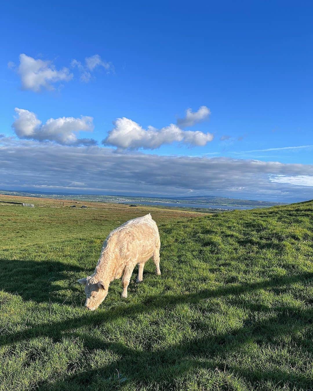 郭圈圈さんのインスタグラム写真 - (郭圈圈Instagram)「Galway Girl 👧🏻  都柏林的景點真的不多，這天趁著週末，跟阿恩&他同事一起前往🚗Galway & Cliffs of Moher 這天光開車就超過8小時⋯也是不容易😆但有好天氣就開心！ - 這天的最後⋯晚餐吃麥當勞，我因為沒有糖醋醬哭了最結尾 - #lea_outfit  @marule.official ✨✨ . . . .  . #歐洲穿搭. #圈圈去愛爾蘭 #圈圈去高威 #lea_europe #leaindublin #ootd #galwayblogger #irelandtravel #dublintrip #dublincity #dublinireland#fujifilmx100v #愛爾蘭 #富士相機 #galway #galwayireland #galwaycity #galwaygirl #圈恩cp」10月16日 23時27分 - helloiamlea