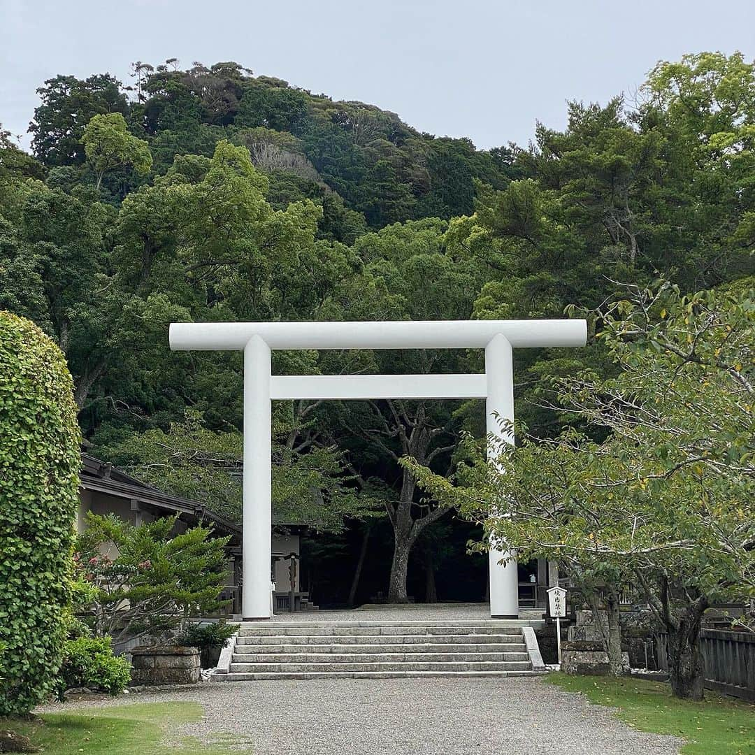 Rubyさんのインスタグラム写真 - (RubyInstagram)「📸2023.9.3 📍木村ピーナッツ @pineki_kimura   安房神社に行くと必ず寄るのが木村ピーナッツ  ここのピーナッツのソフトクリーム🍦が絶品 普段ソフトクリームやアイスは滅多に食べないけど これはせっかく館山に行ったら寄って損はないけど得はいっぱいあるところだと思っている。  とにかく美味しいから機会があれば食べて見て きっと言っている意味がわかるはず！  3枚目は安房神社 ルビたんママの大好きな神社の１つです ちなみにここはワンコは参拝は一緒にできません。  #ヨーキー #ヨークシャテリア #yorkie #yorkshireterrier #ヨーキー好きと繋がりたい #犬のいる暮らし #pecoいぬ部  #ぐるわん #rubyとカフェとわたし #関東おでかけわんこ #木村ピーナッツ #ピーナッツソフトクリーム #千葉県館山市」10月16日 23時37分 - ruby_the_yorkie