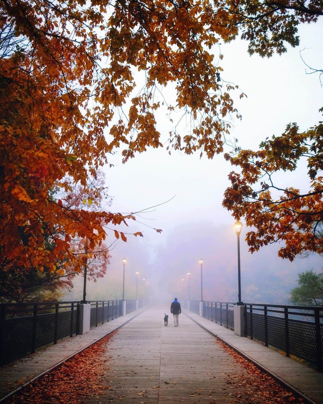 kaelのインスタグラム：「Take it to the bridge」