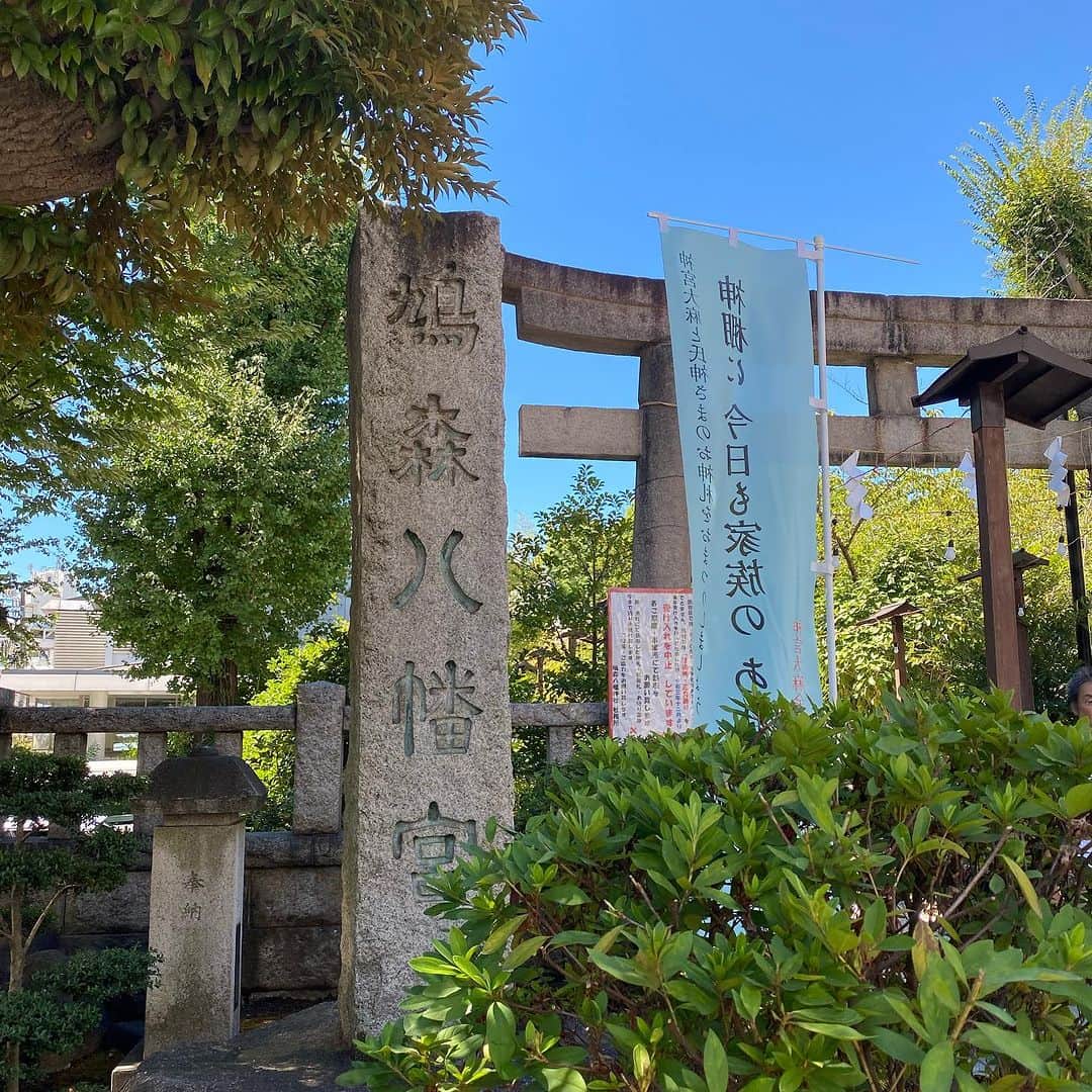 Rubyさんのインスタグラム写真 - (RubyInstagram)「📸2023.9.5 📍 鳩森八幡神社 @hatonomori_shrine   代々木に用事があったので 鳩森八幡神社にお参りにいきました。  ここは富士塚があるのでルビたんも一緒に登頂！ 富士山に登るのと同じパワーの恩恵が得られるとかなんとか。  大学生の頃 ここのすぐ近くで家庭教師をしていて その頃もよく寄ったなぁなんて思い出しました。  #ヨーキー #ヨークシャテリア #yorkie #yorkshireterrier #ヨーキー好きと繋がりたい #犬のいる暮らし #pecoいぬ部 #rubyの神社仏閣詣り #鳩森八幡神社」10月17日 0時03分 - ruby_the_yorkie
