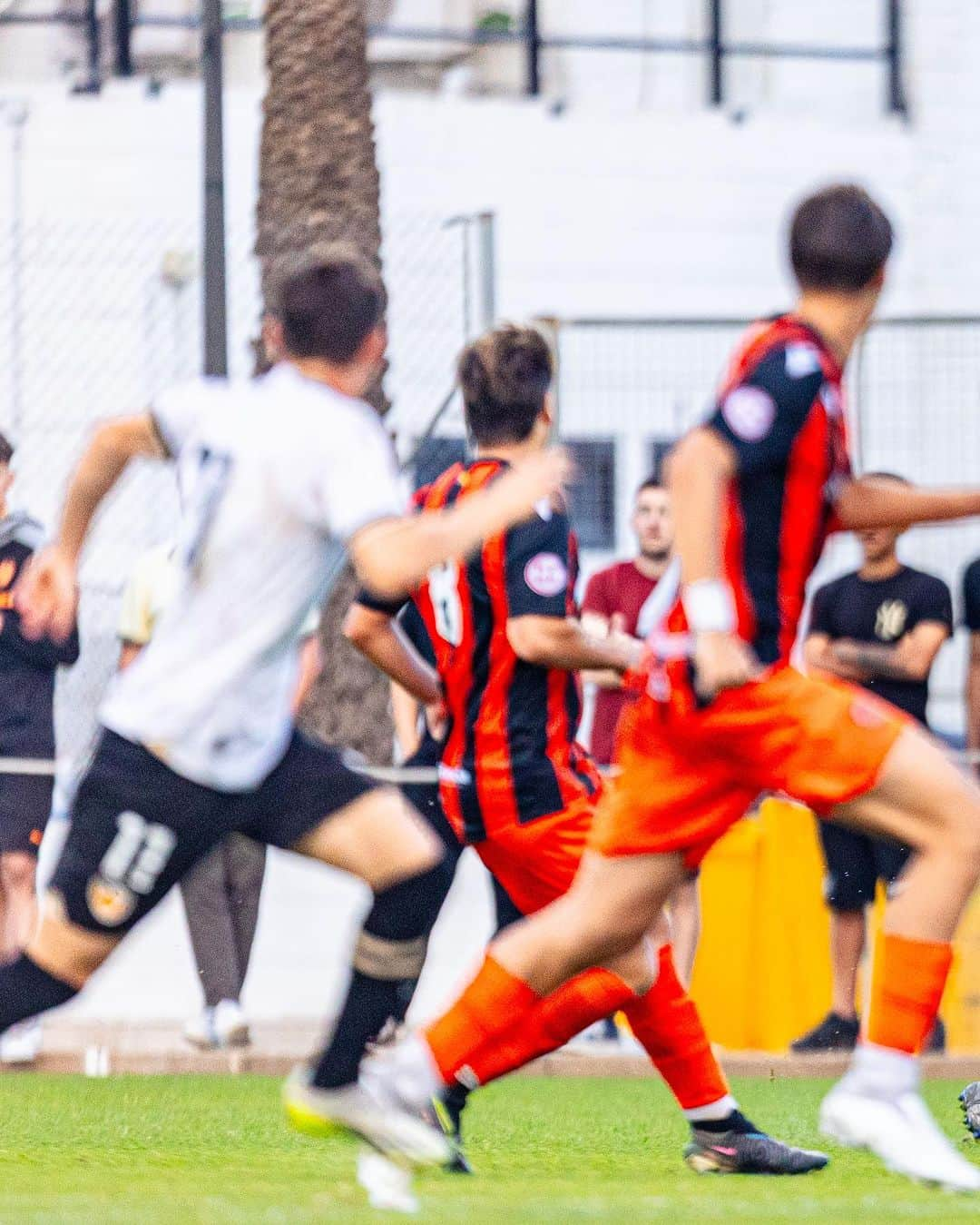 バレンシアCFさんのインスタグラム写真 - (バレンシアCFInstagram)「🔝 El #VCFJuvenil 🅰️, el liderato de un equipo donde todos suman   📝 El juvenil valencianista encadena 6 victorias consecutivas y es primero del Grupo VII de División de Honor  ⚽️ El rendimiento del colectivo ⤵️」10月17日 0時07分 - valenciacf