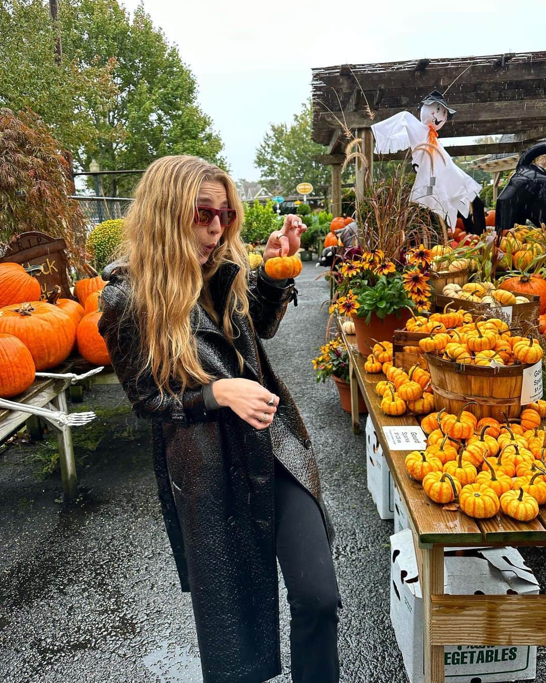 レイチェル・ヒルバートさんのインスタグラム写真 - (レイチェル・ヒルバートInstagram)「Pumpkin hunting. FOUND IT. 🎃」10月17日 0時15分 - rachelhilbert