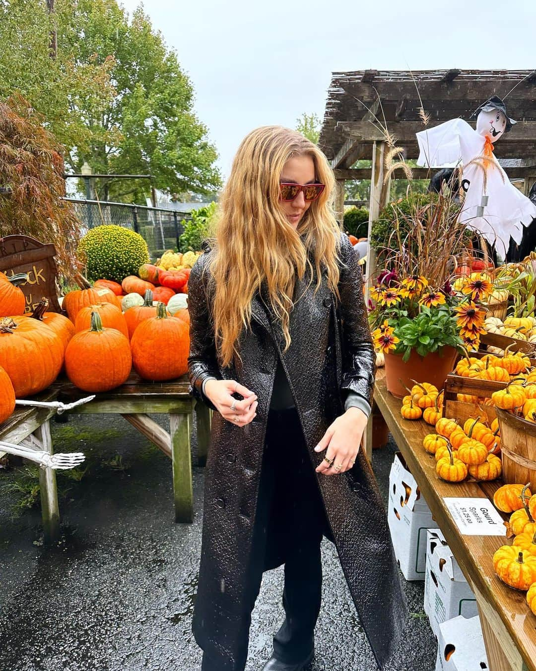 レイチェル・ヒルバートのインスタグラム：「Pumpkin hunting. FOUND IT. 🎃」