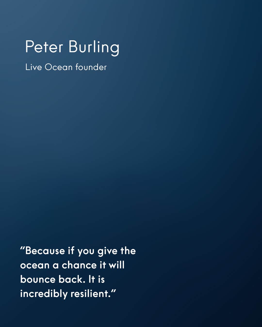 オメガさんのインスタグラム写真 - (オメガInstagram)「#Seamaster    As part of Live Ocean, Blair Tuke and Peter Burling are working to create innovative solutions, advocate, and promote change to better our seas. We’re proud to support our ambassadors for this important cause.   #OMEGA @itsliveocean」10月17日 0時30分 - omega