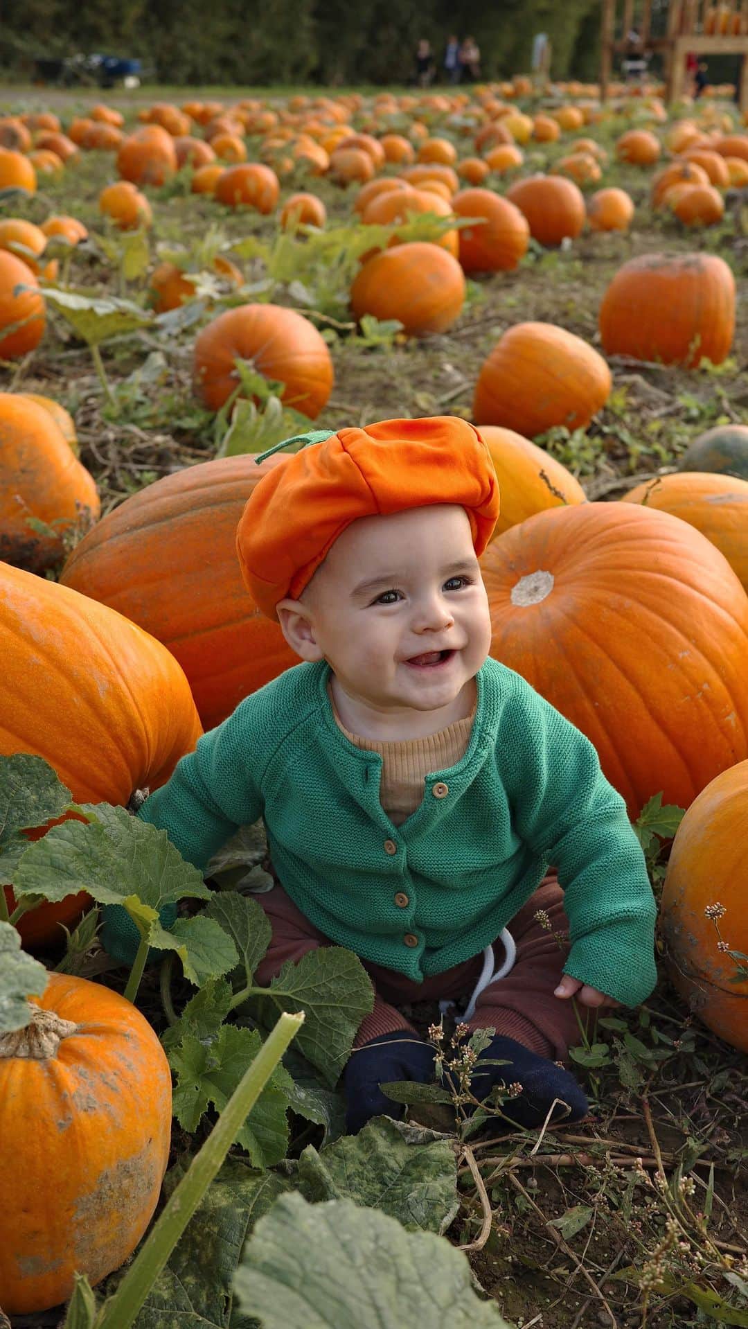 ルイス・コールのインスタグラム：「Our little pumpkin 🎃🥹🧡」