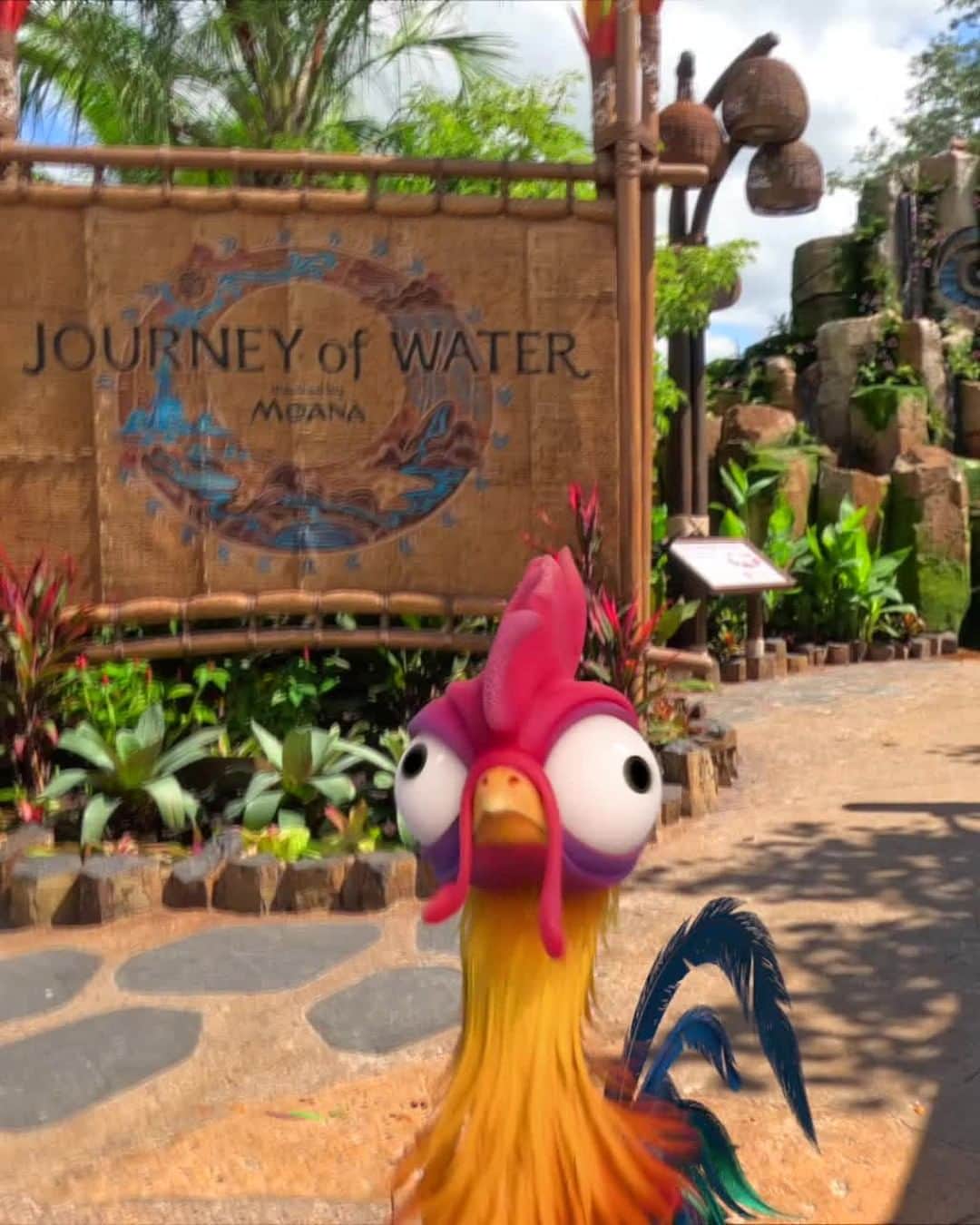 Walt Disney Worldのインスタグラム：「Follow Heihei for a splashy tour through the all-new Journey of Water, Inspired by Moana. Tag your sidekick and join the journey! 💦🐓」