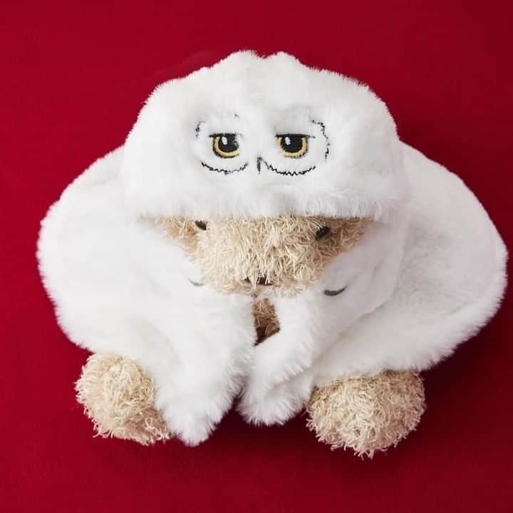 タリーズコーヒーさんのインスタグラム写真 - (タリーズコーヒーInstagram)「🦉 ＊゜＿＿＿＿＿＿＿＿＿⚡  10月25日発売 ベアフル🄬 ヘドウィグ  🏰＿＿＿＿＿＿＿＿＿＊゜  タリーズコーヒーのベアフルとヘドウィグがコラボ✨ もこもこのヘドウィグのフードを被れば、 ハロウィンやクリスマスにもぴったりの仕様に変身💫  愛くるしいヘドウィグのお顔がポイントです！ ぜひ店頭でご覧ください🦉  #タリーズハリポタコラボ #タリーズ #ハリポタ #ハリーポッター」10月17日 12時01分 - tullyscoffeejapan