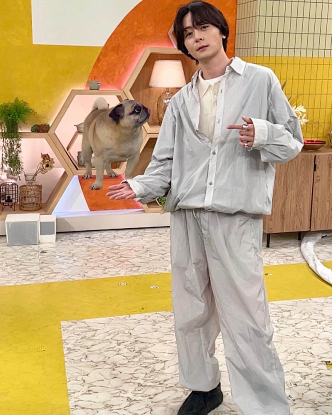 犬飼貴丈のインスタグラム：「あさイチありがとうございました。 おやすみ王子もよろしくお願いします。 銀次を召喚したよ。 #あさイチ#おやすみ王子#犬飼貴丈#パグ#犬#オリーブオイル#美味しいパスタ#作ったお前」