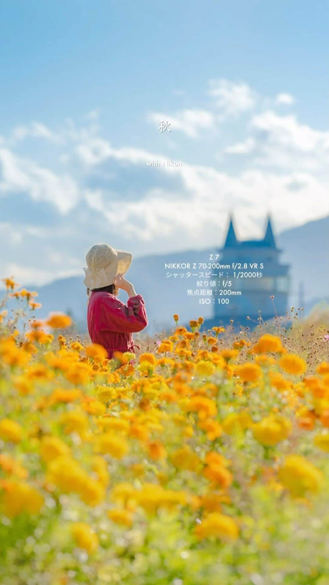 ニコンイメージングジャパン公式のインスタグラム：「【季節の写真展】 #Autumn コレクション   旅もお散歩も楽しくなる季節。   秋を待っていたかのように、変化し始める植物たちや、澄み始める空。星や月も、夕暮れから楽しめるようになります。   美しい秋を見つけ、ゆっくりじっくり、自分なりの表現を楽しんでみてはいかがでしょうか。   #Nikon #ニコン #カメラ #camera #nikoncreators #秋 #秋の風物詩 #コスモス #紅葉 #紅葉シーズン #紅葉狩り #ススキ #彼岸花 #秋を感じる #秋を楽しむ #秋景色 #風景写真 #日本の風景 #写真展 #作品集」