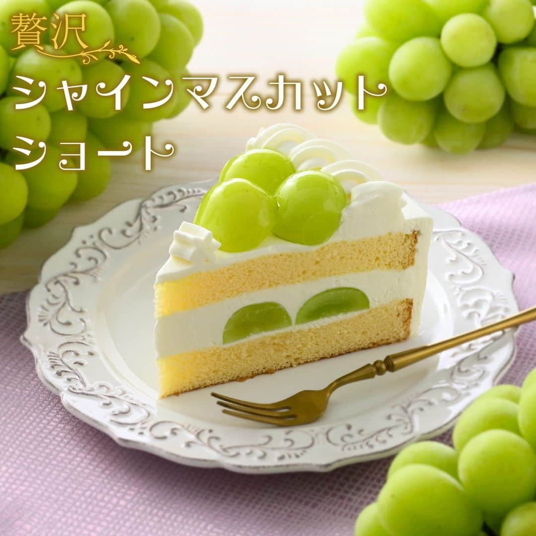 銀座コージーコーナーのインスタグラム：「. ＼💚季節限定！贅沢シャインマスカットショート💚／  食べたい方はコメント欄に「💚」と送ってください👀 11/30（木）頃までの期間限定販売です🌟  💚贅沢シャインマスカットショート ジューシーな果肉と上品な甘み＆香りが特長の「シャインマスカット」を贅沢に使用した、季節限定のショートケーキ🍰 口いっぱいにみずみずしさがあふれるシャインマスカット、きめ細かなスポンジ、生クリーム入りホイップクリームの爽やかな一体感をお楽しみください😋  #今日のコージーコーナー を付けて、感想を教えてください💬 商品や店舗の詳細はプロフィールのURLから→ @ginzacozycorner 💚 💚 💚 #今日のコージーコーナー #銀座コージーコーナー #コージーコーナー #ginzacozycorner #期間限定 #期間限定スイーツ #シャインマスカット #シャインマスカットケーキ #ぶどう #マスカット #マスカットケーキ #シャインマスカット大好き #シャインマスカットスイーツ #旬のスイーツ #旬のフルーツ #おうちカフェ #ご褒美スイーツ #手土産 #洋菓子 #ケーキ大好き #スイーツ好きな人と繋がりたい #スイーツ #スイーツ大好き #新発売スイーツ #dessert」