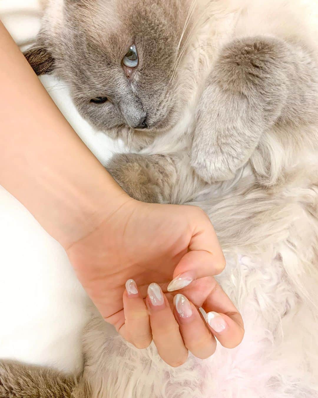 安齋由香里のインスタグラム：「2023/10/17 #ネイル  白と水色で推し(テディ)ネイル」