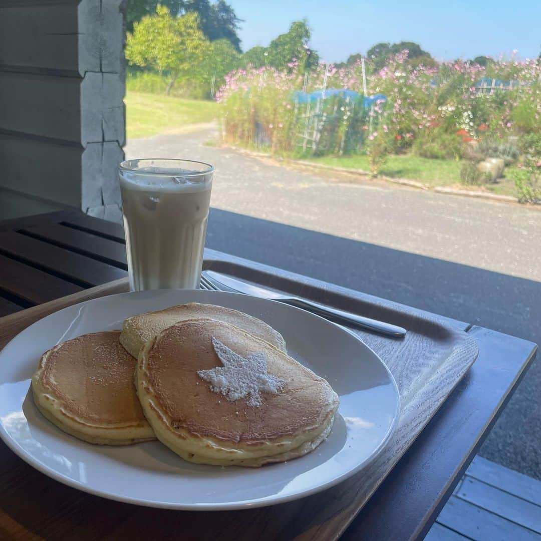 なかねかなさんのインスタグラム写真 - (なかねかなInstagram)「突然に美味しいコーヒーと自然に浸りたくなって おしごとの合間に秩父まで行ってきた。 2時間だけの弾丸旅だったけど 久しぶりに食べる時間気にせず好きなランチと好きな飲み物堪能しててんとう虫見学して 芝生でちょっとねた。  🐞」10月17日 10時56分 - nknknk1206