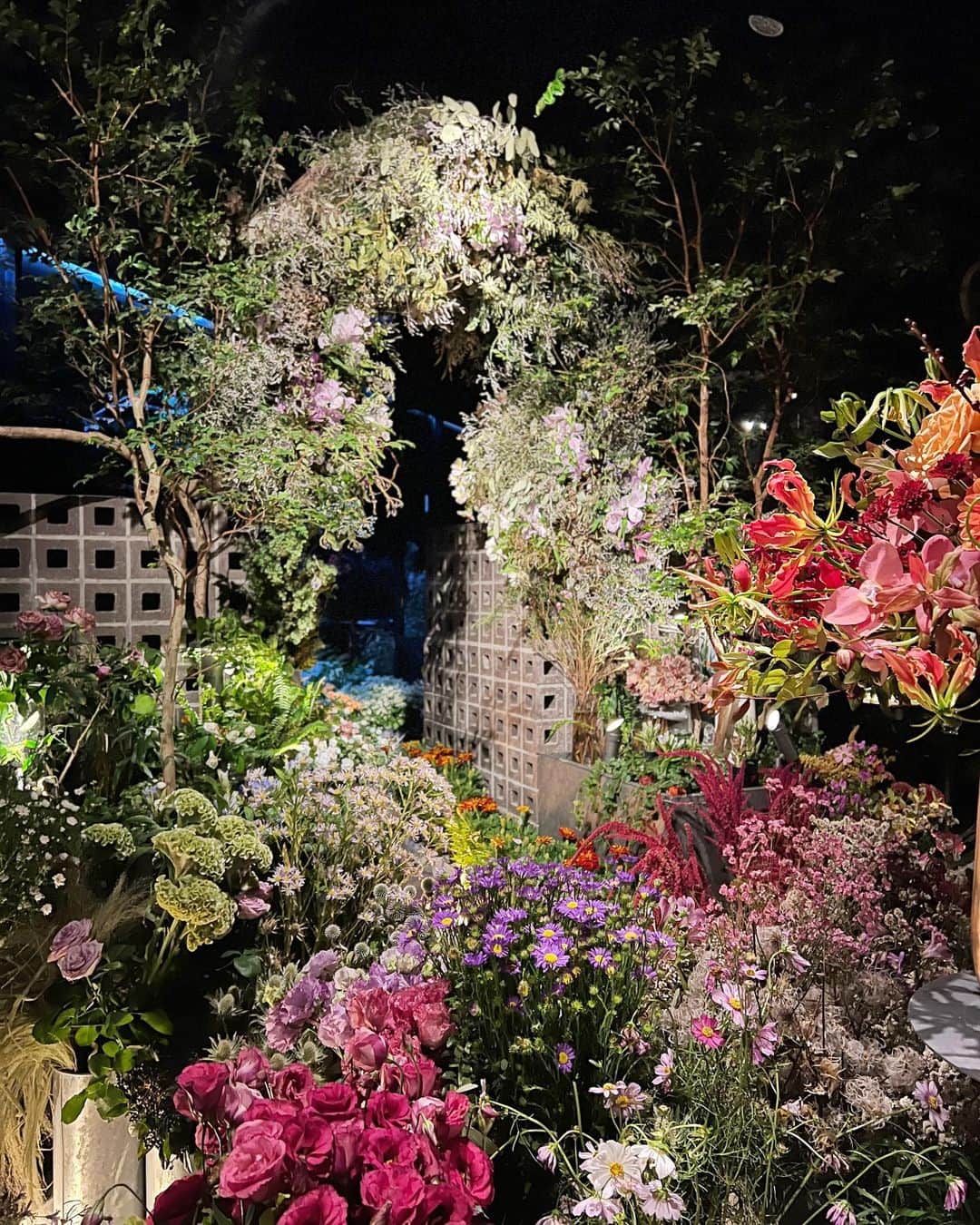 菊池かなこさんのインスタグラム写真 - (菊池かなこInstagram)「住所非公開・完全会員制のフラワーバー💐  @ebisuflowerpark   ドアを開けた瞬間、 本当にびっくりした🫢✨✨  日本一お花のあるバーで、 店内には常時10,000本以上の生花が💐  この日はアルコールがみかん🍊 ノンアルが柿を使ったカクテルでした💟  グラスにお花のアートが付いていて可愛い🌸  ローズヒップとジャスミンティーと 10種類のハーブブレンド🌿  砂糖を使ってなく果物の甘さだけで仕上げているそう🫶  お花が好きな方をぜひ連れて行って欲しい素敵な空間💐💕  クラウドファンディングで会員権を購入出来るので(今は完売中)インスタフォローしておくのがおすすめ😉  *.:･.｡**.:･.｡**.:･.｡**.:･.｡**.:･.｡** @ebisuflowerpark #PR#EBISUFLOWERPARK#恵比寿 #恵比寿BAR#恵比寿バー#ebisu#恵比寿デート」10月17日 11時09分 - canana_kanako