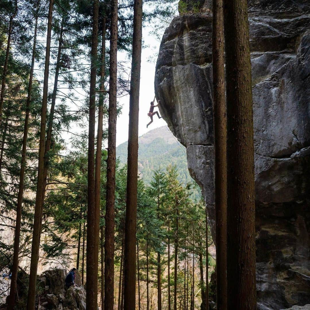 クリス・バーカードのインスタグラム：「The vertical pilgrimage up Japanese limestone requires just as much finesse as it does strength. Dancing across the face of a route with a few fellow climbers and an audience of trees who have seen many attempts makes for the best sort of crag days. In 2018 on a shoot for Prana, I found myself deeply inspired by the dramatic features in the forests out side of Gozeb Iwa and open to the angles that might show the crag in an honest way while @chris_sharma gracefully sailed up each pitch. Wide angles in tight places, in this case my 16-35mm @sonyalpha felt like the best way to do it justice.」