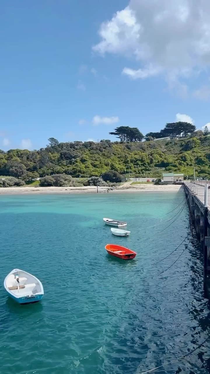 Australiaのインスタグラム：「Sun on our skin, salt in the air and sand between our toes - did someone say coastal getaway? 🩵🐚 We reckon @whereiskapa has stumbled upon the perfect spot to spend a warm sunny day in #Victoria’s @officialmorningtonpeninsula! You’ll find #FlindersBeach just over an hour from Narrm (@visitmelbourne) in the charming beach town of #Flinders. After snorkelling the morning away, grab a post-dip coffee at one of the nearby cafes like @georgiebasscafe ☕   🎥: @whereiskapa   📍: Flinders Beach, #MorningtonPeninsula, #Victoria   #SeeAustralia #ComeAndSayGday #VisitVictoria #VisitMelbourne  ID: A montage of a small beach town. Clips include small wooden boats tied to a wooden pier floating on calm turquoise water and a long shot of the pier, the boats and the beach taken from the shore.」