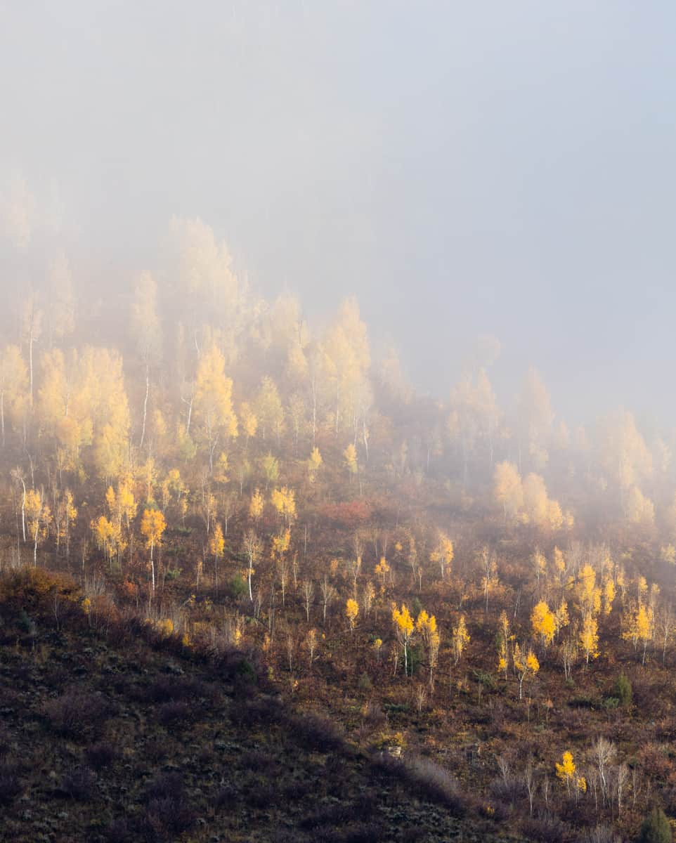 National Geographic Travelさんのインスタグラム写真 - (National Geographic TravelInstagram)「Photo by @emilypolar | The morning’s changing temperatures brought the clouds down, softening this Colorado valley and its landscape of turning aspens.   To see more landscapes from west to east, follow me @emilypolar.」10月17日 4時14分 - natgeotravel