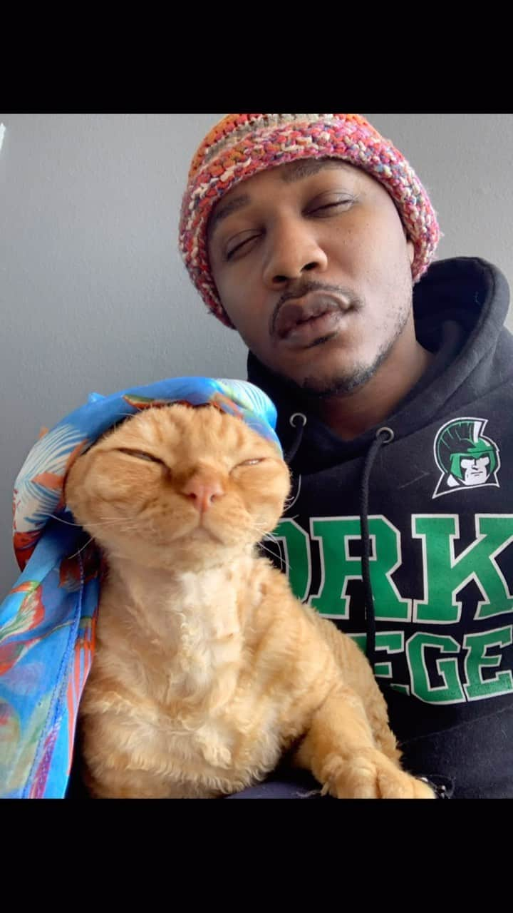 MSHO™(The Cat Rapper) のインスタグラム：「I just can’t stop… we just wanted to spread some love today. Please know that we love and care about you.. we just wanted to make you smile. Thanks to everyone who’s nice and thanks for loving your cats. Take care. Let us know if it worked? ❤️ #TheCatRapper #CatMan #CatDad #CatMom #CatLady #CatDaddy #MoGang」