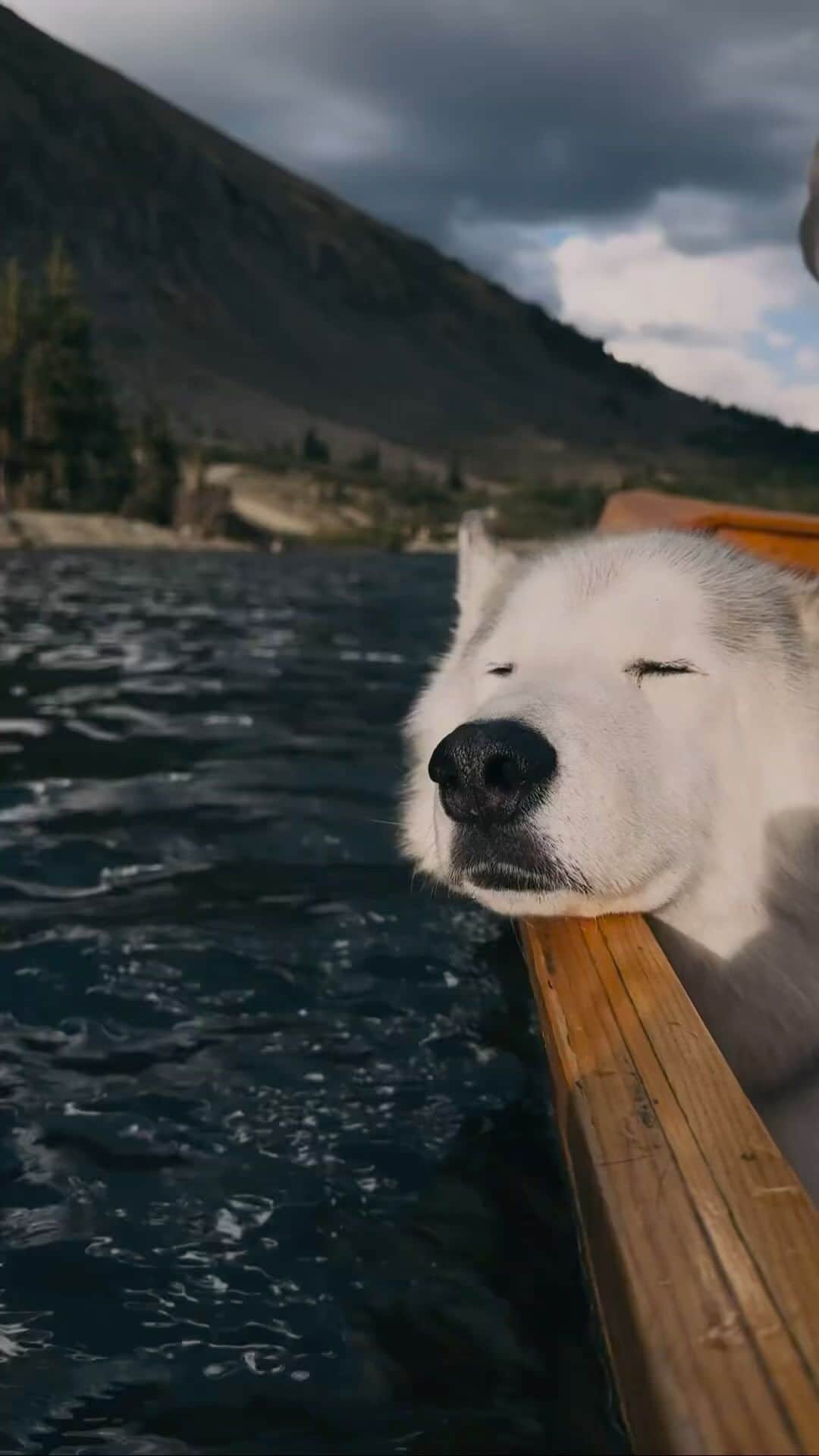 Earth Picsのインスタグラム：「Take me somewhere this peaceful @loki」