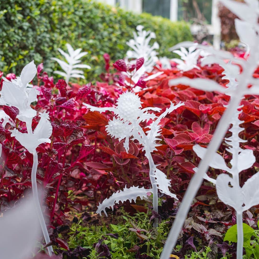 ニューヨーク植物園のインスタグラム：「“Ebony G. Patterson invites us to reconsider the botanical garden,” says @Hyperallergic, and in the show’s final week—don’t miss your chance.  Now grown into its full fall splendor, captivating with the beauty of exotic flora and garden-inspired installations, the exhibition features breathtaking and provocative displays of art and nature, transforming the Conservatory and beyond into a thought-provoking exploration that reveals the secrets hiding just beneath a garden’s surface.  See the groundbreaking show the @nytimes calls “a triumph” before it closes this coming Sunday, October 22.  #EbonyGPattersonNYBG #EbonyGPatterson」