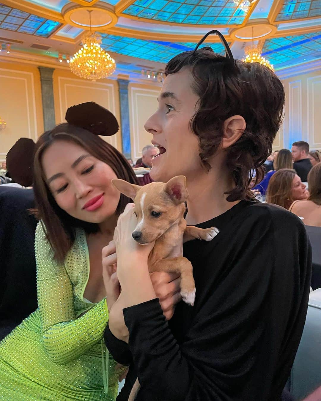 JEN ATKINさんのインスタグラム写真 - (JEN ATKINInstagram)「It was fashion’s biggest night- got our friends to come and join us at @wagsandwalks as we set a goal of saving 2500 dogs in one night🐶 The past year unfortunately saw dogs filling kennels and a major decline in adoptions. @iammaxgreenfield said it best- watching a rescue dog who’s closed off open up and learn to trust and love is the most rewarding thing. Please, if you can participate in donating, adopting, fostering, or volunteering… these dogs need our help ♥️ xo Jen & Mike」10月17日 5時26分 - jenatkinhair