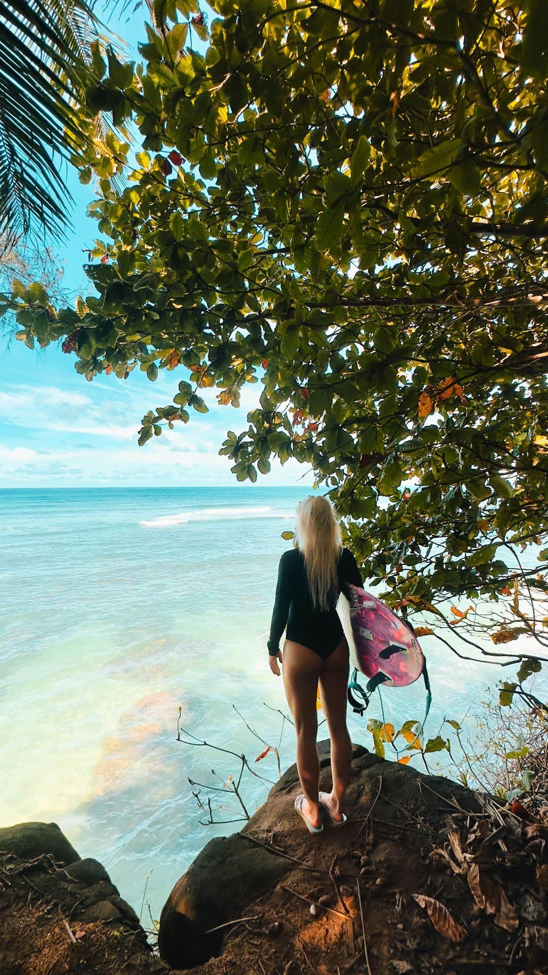 タティアナ・ウェストン・ウェブのインスタグラム：「just thinking about surfing 🤍🤍🤍🤍🤍 @bodyglovegirl」