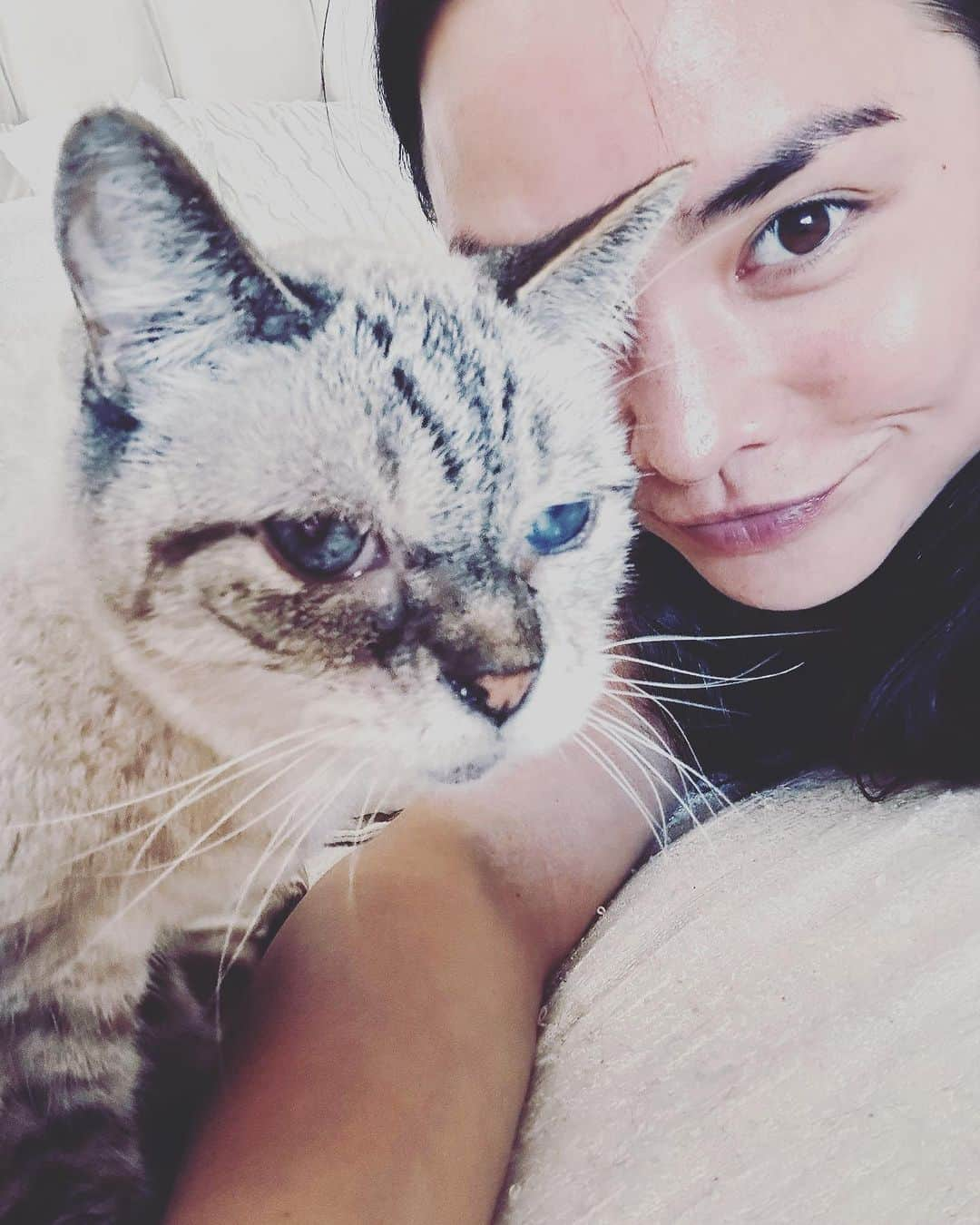 加賀美セイラさんのインスタグラム写真 - (加賀美セイラInstagram)「#PetSitting #19yrOldCat DAMN LONG FING LIFE #19歳猫　なんてこと 大豪邸でペットシッター、なんてこと めちゃくちゃ依頼来まくってる、なんてこと ありがたや笑笑 本職忘れちゃうくらいだけど🤣 #92歳」10月17日 12時10分 - serakagami