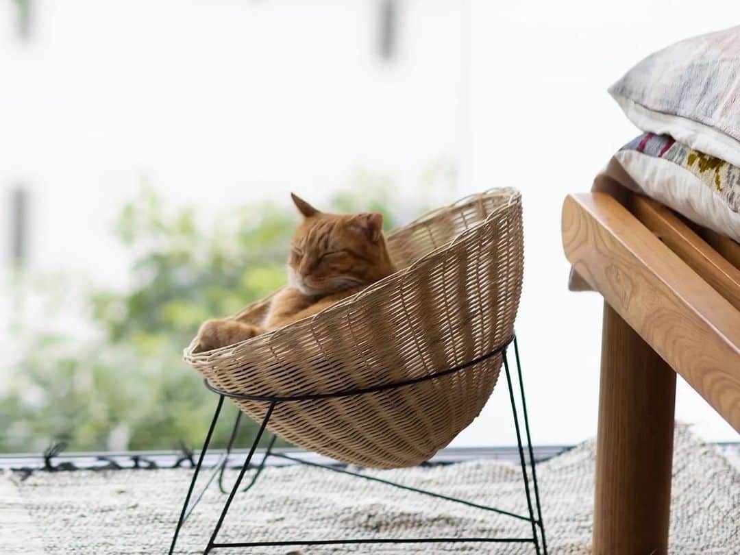 オルネコ×Encachette アラログトイレカバー 【公式通販】