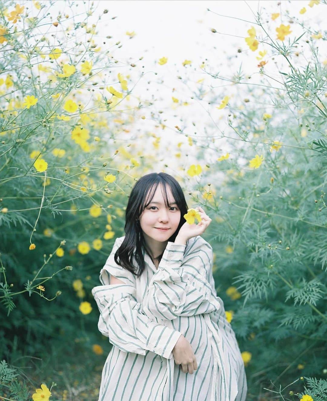 Masaのインスタグラム：「.  ▶︎▶︎▶︎ Swipe  1：Pentax6x7  Super Takumar 105mm F2.4 #pro400h   2：Nikon F3  Nikkor 50mm F1.4 #colorplus200  🌼🍄  上の方見ると散ったものもあるし、右下なんかはまだまだ蕾がある。 でもキバナは早めなので、そろそろ終わりかな〜。  紅葉も早い場所は始まってるので楽しみです🍁  撮影日 : 2023年10月8日  #まさペン#エビプリ #pentax6x7 #pentax67 #バケペン #中判フィルム #film #filmcamera #filmphotography #フィルム #フィルムカメラ#フィルム写真 #igersjp #portrait #ポートレート #filmisnotdead #滋賀 #shiga #新庄コスモス園  #キバナコスモス #コスモス #cosmos」