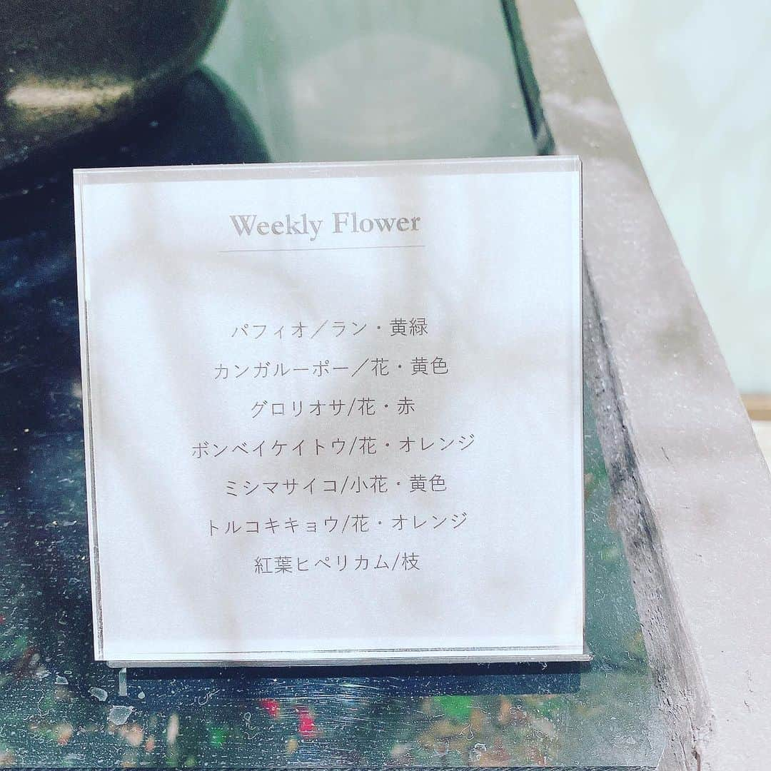 三浦泉さんのインスタグラム写真 - (三浦泉Instagram)「*♪¸¸.•*¨･:*ೄ·*♪¸¸.•*¨･:*ೄ*♪¸¸.•*¨･:*ೄ··*♪¸¸.•*¨･    伊勢丹 サロンのお花💐　　すっかり秋模様の 彩りでした🍁  　お花が生けてあるところは 私にとってパワースポット♥️  　いつもありがとうございます💗  　 *♪¸¸.•*¨･:*ೄ·*♪¸¸.•*¨･:*ೄ*♪¸¸.•*¨･:*ೄ··*♪¸¸.•*¨･  #サロン #お花 #パワースポット #伊勢丹 #伊勢丹新宿店  #izumiのお花めぐり #いずみーるのお花めぐり #イズミールのお花めぐり」10月17日 7時27分 - princessizu1201