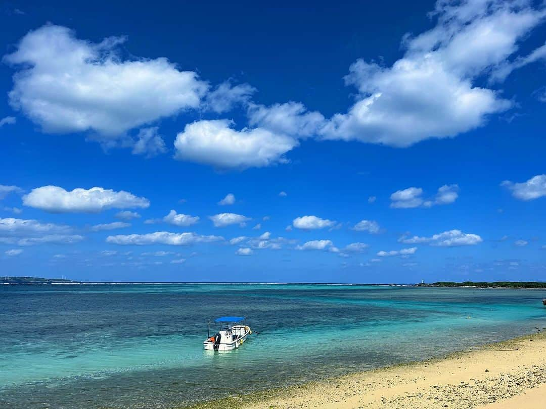 高松いくのインスタグラム：「美しすぎて  目を開けたまま、見つめてるだけで  頭と心が無になっていく  出勤路のヨガで朝リセット🧘‍♀️に最高  今日も深呼吸から始まる  まだまだTシャツ👚です。暑いです🫠脳みそが溶けます .  フクギ並木は昨日も 韓国🇰🇷台湾🇹🇼からのお客様が多く 日本人も含めて 20代〜60代の 家族、ご夫婦、カップル、友人同士で 一緒にお散歩される方でいっぱい  もちろん、一人旅されている人も🍀  レンタサイクル自転車🚲散歩から 戻られると 皆様のお顔が穏やかなのです😌 その笑顔が見られて こちらまで心洗われます  皆様の穏やかな時間、笑顔の お手伝い😊  あと3日  楽しみながら、頑張る💪  素敵な一日を💓  #沖縄 #本部町  #備瀬  #美しい #海 #空  #深呼吸  #美しい海   #備瀬フォトコン #備瀬のフクギ並木  @fukukitaru_cafe_okinawa_bise」