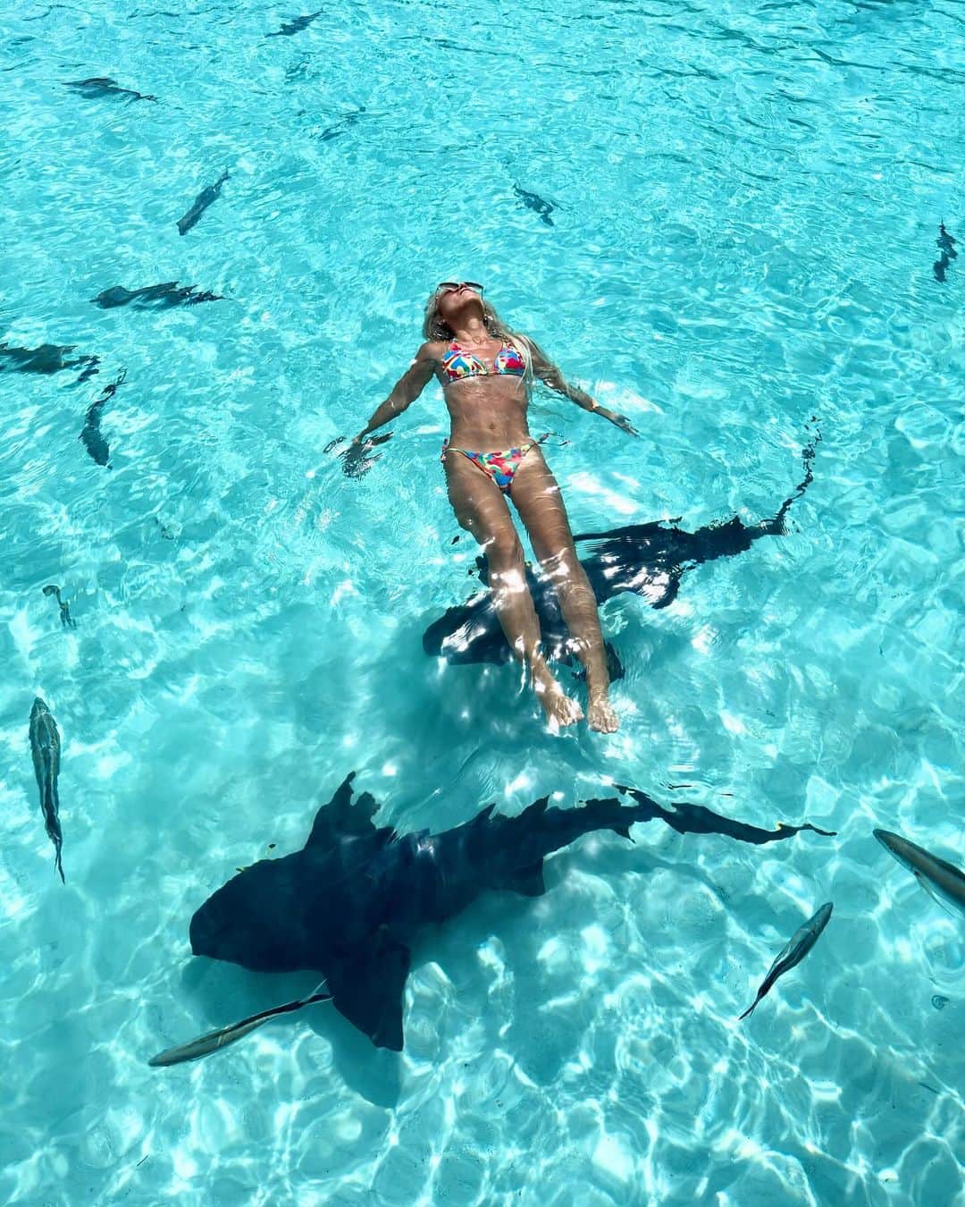 やよさーんさんのインスタグラム写真 - (やよさーんInstagram)「. Swimming with sharks 🦈 Wonderful summer day 🩵 . サメと海で泳ぎました🦈🦈 素晴らしい夏の日🫶🏾 . 📍compasscay,exuma,bahamas . . #swimmingwithsharks #travel #bahamas #exuma #compasscay #shark」10月17日 8時23分 - yayosaan