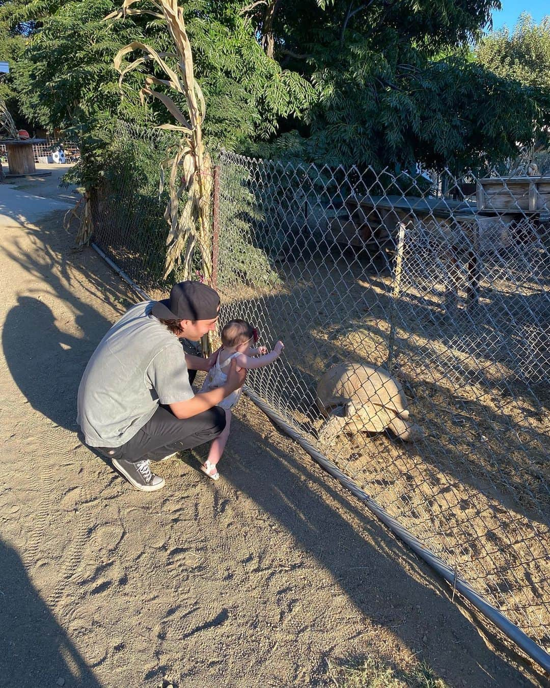 ヴィック・フエンテスさんのインスタグラム写真 - (ヴィック・フエンテスInstagram)「Violet’s first pumpkin patch 🎃」10月17日 9時01分 - piercethevic