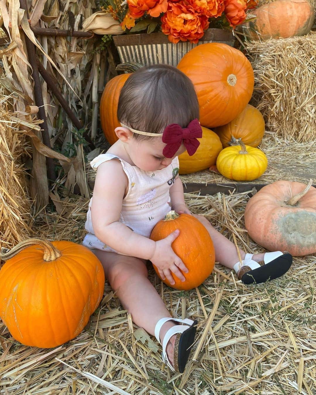 ヴィック・フエンテスさんのインスタグラム写真 - (ヴィック・フエンテスInstagram)「Violet’s first pumpkin patch 🎃」10月17日 9時01分 - piercethevic