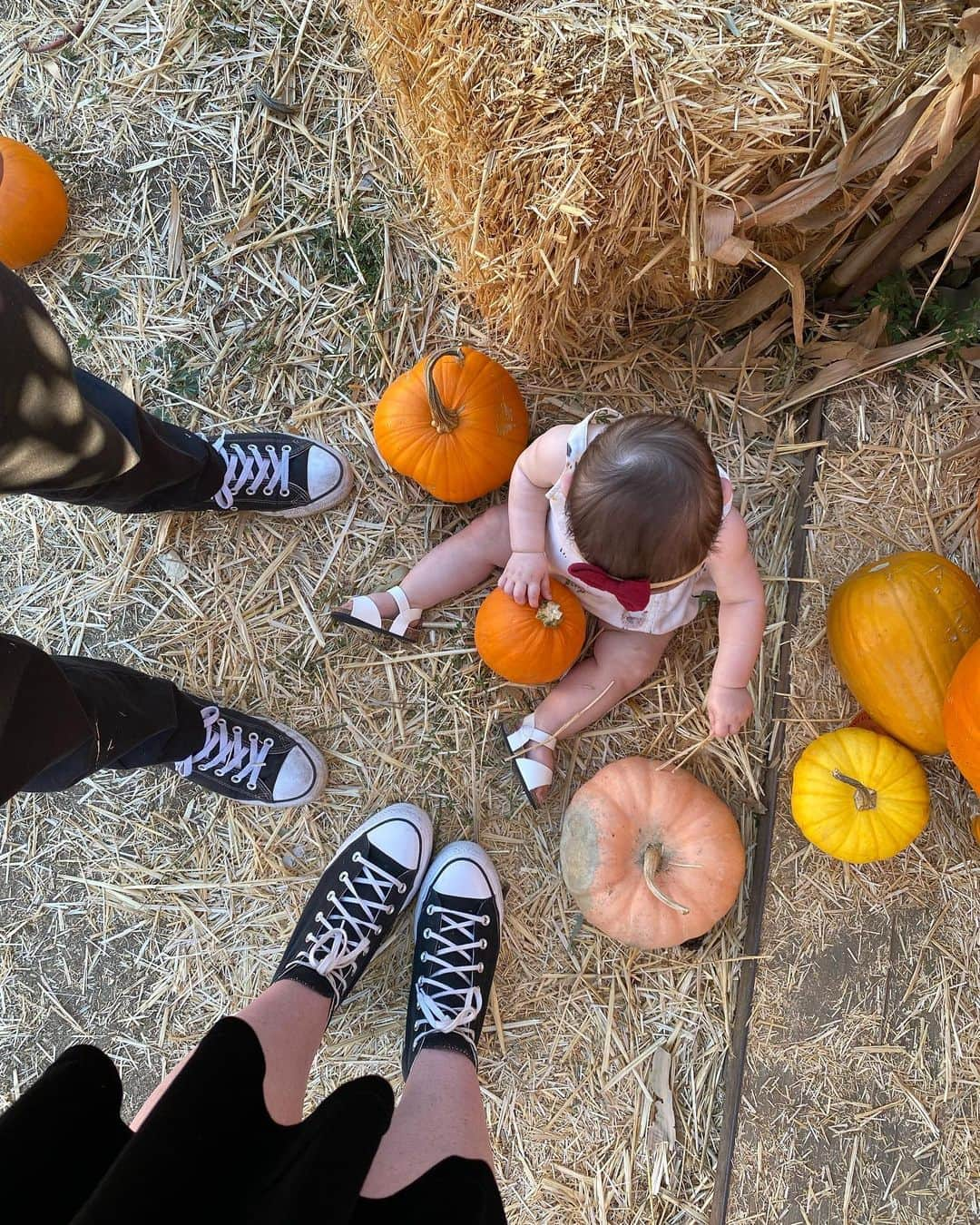 ヴィック・フエンテスさんのインスタグラム写真 - (ヴィック・フエンテスInstagram)「Violet’s first pumpkin patch 🎃」10月17日 9時01分 - piercethevic