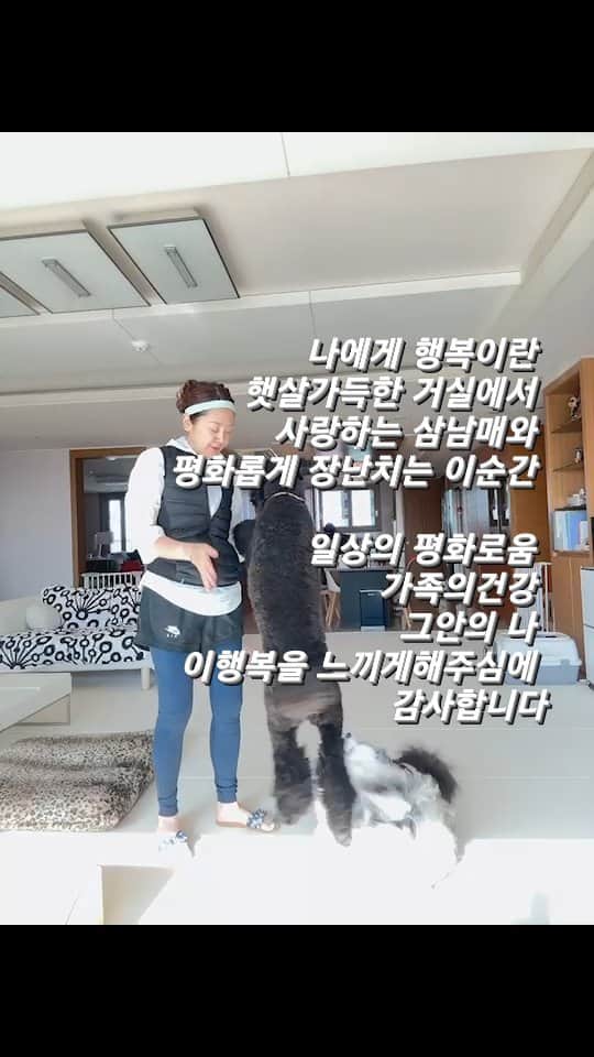 イ・スンヨンのインスタグラム：「@stan.thepoodle  @kamzy_simba  #사람과동물이함께행복한세상  @mago12_official  함께만들어가요🙏🙏」