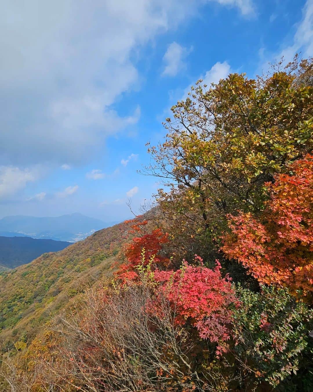 ハン・ウンジョンさんのインスタグラム写真 - (ハン・ウンジョンInstagram)「야후!!!등산의 계절~🍁 . 속이 뻥 뚫린다~ ! 맑은 가을 하늘~~ . 구름도 어쩜 이래~~👍🌈 . #가을 #등산 #가을산 #힐링」10月17日 10時25分 - dagam_han