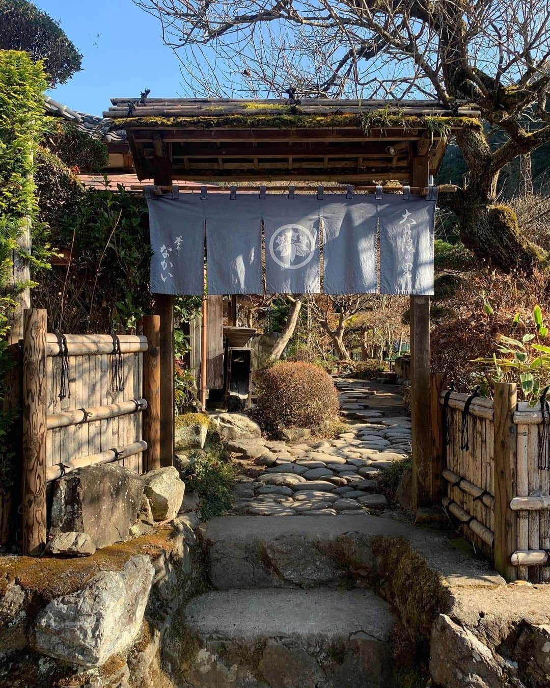 職人.comさんのインスタグラム写真 - (職人.comInstagram)「【東京のオアシス、奥多摩でお酒とおいしいもの】  都心から車または電車で1時間半ほどで行ける奥多摩には、東京とは思えない自然豊かな風景が広がっています。東京都北西部、多摩川上流に位置する奥多摩。登山やバーベキュー、鍾乳洞への観光など訪れる人々の目的はさまざまですが、東京出身の私は家族と「ちょっと気分転換をしたい」「自然のあるところへ出かけたい」というときの行き先として奥多摩を見つけ、それからちょこちょこ訪れるようになりました。奥多摩と聞いて私が思い浮かべるのは、「釜めし なかい」という釜めしのお店です。テレビなどにも出ている人気店のため、ご存じの方もいらっしゃるかもしれません。  お店は奥多摩の山奥、大丹波という地域にあり、車で向かう道中から窓の外に緑が広がります。料亭のような門をくぐると、こじんまりとして手入れの行き届いた庭園に立派な日本家屋が。この建物は、戦後すぐに建てられた2代目店主・宮野啓一さんの生まれ育った家なので、気分はまるで田舎のおばあちゃんの家を訪れたよう。囲炉裏や調度品、縁側などすべてが調和し畳敷きでくつろげる店内で、庭の四季折々の草木を眺めながら食事をとることができます。初代店主である父・洋一さんが修業した「鳩の巣釜めし」のスタイルを受け継ぎ、釜めし、水炊き、自家製の刺身こんにゃくのセットが定番です。おいしい釜めしが食べられるだけでなく、そこに鶏の水炊きという最高のおともが付いてくるのです。大丹波産の沢わさびや原木椎茸など、地元で採れた旬の野菜や山菜を使い、手作りで提供されています。  一品料理も豊富で、メニューを見ているだけでよだれが出てくるのですが、釜めしはきのこ釜めしに、そして、霜降り茸焼と焼き鳥、川魚の塩焼きなどを注文。優しい味付けで、きのこや野菜の素材そのものの味が生き生きと感じられて、エネルギーをもらえる味がしました。焼き鳥は、運ばれてきたときのその大きさに驚きます。噛むと皮はパリッとして香ばしく、身は弾力があり旨味があふれ、次回訪れた際もまた頼んでしまいそうです。秋の間は限定で栗釜めしが楽しめるそうで、そちらも魅力的ですね。  奥多摩にはほかにも立ち寄りスポットがたくさん。名水の地でもあり、綺麗な湧水や酒造が数多くあることでも知られています。JR奥多摩駅から歩いてすぐのクラフトビール醸造所「VERTERE（バテレ）」。こちらでは、テラス席もある古民家で自然の中でクラフトビールを楽しむことができます。種類が豊富で潔いパッケージデザインも素敵なので、お土産にもおすすめです。「清流ガーデン 澤乃井園」は、創業元禄15年の小澤酒造直営の休憩処。多摩川のほとりに広がる庭園にはテーブルがたくさんあり、園内の売店で澤乃井のお酒やおでん、酒まんじゅうなどを買って清流を眺めながら休憩ができる場所で、きき酒処や無料の酒造見学などもあります。散歩をしたり休憩するだけで気持ちがよく、奥多摩の自然を満喫できるのでつい毎回立ち寄ってしまいます。  これからの季節、奥多摩の山々も色づきはじめ、紅葉が綺麗なのではないかと思います。ドライブではもちろん、電車でもアクセスできる奥多摩。秋のお出かけに訪れてみてはいかがでしょうか？  釜めし なかい https://otaba-nakai.com/ VERTERE http://verterebrew.com/ 清流ガーデン 澤乃井園 http://www.sawanoi-sake.com/service/sawanoien  参考資料 https://www.instagram.com/kamameshi_nakai/ https://chuosuki.jp/5148/ https://discoverjapan-web.com/article/2413 https://craftbeerhunt.net/brewery/vertere  @shokunincom  #職人ドットコム #京都市 #上京区 #中京区 #西陣 #キッチン用品 #調理道具 #調理器具 #料理道具 #台所道具 #民芸 #民藝 #器のある暮らし #焼き物 #生活工芸 #釜めしなかい #釜飯なかい #VERTERE #清流ガーデン #澤乃井園 #清流ガーデン澤乃井園 #奥多摩 #奥多摩グルメ #奥多摩の景色 #奥多摩川 #多摩 #バテレ #バテレクラフトビール #JR奥多摩駅 #奥多摩駅」10月17日 21時17分 - shokunincom