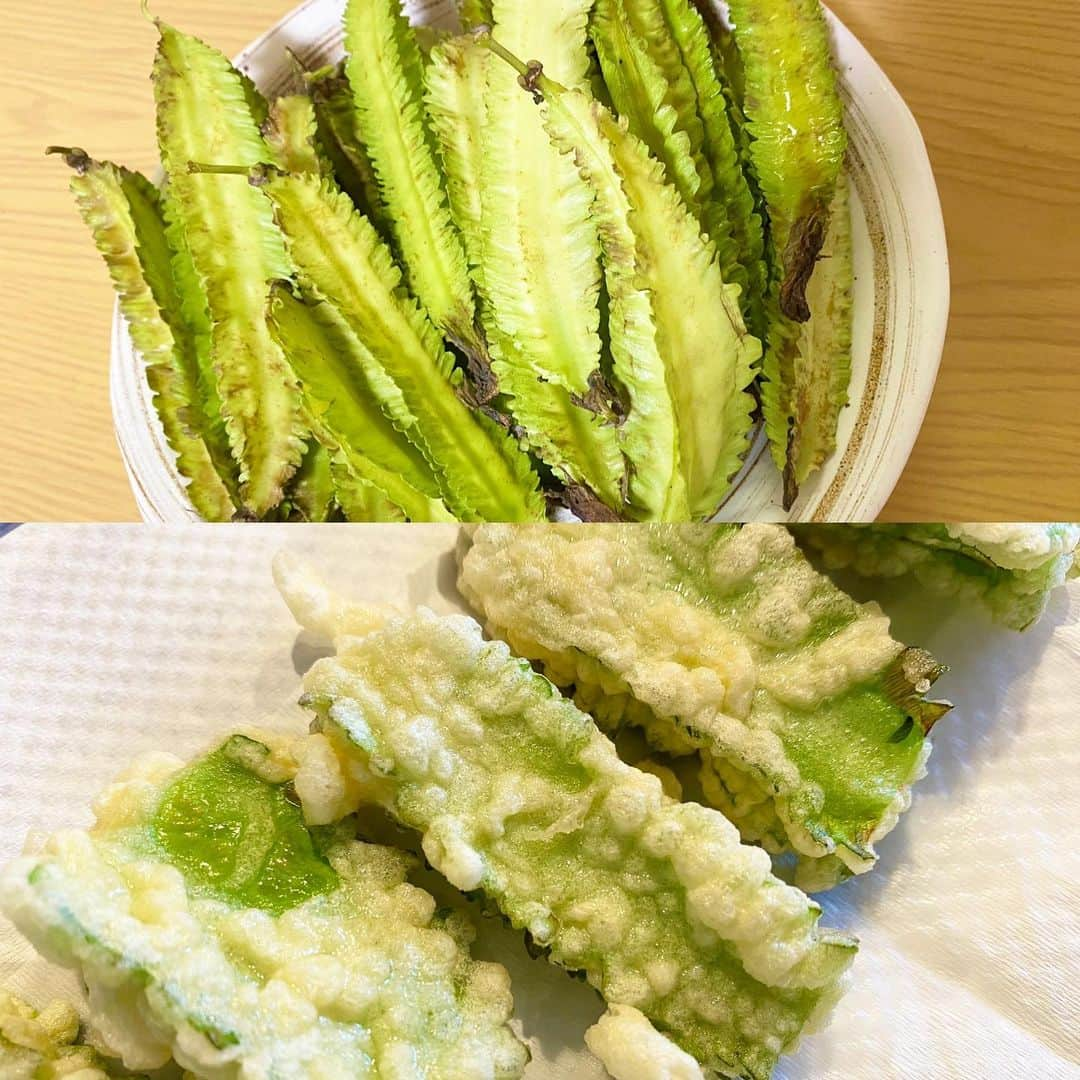 川島恵さんのインスタグラム写真 - (川島恵Instagram)「最近、四角豆にハマっています🌿天ぷら美味しい🙌 おやつ感覚でパクパク食べています！ ・ (※みなさん、たくさんのレシピアイデア、ありがとうございます！) ・ #四角豆 #四角豆レシピ #四角豆の天ぷら #四角豆天ぷら  #美味しい #ハマってます #おやつ感覚」10月17日 20時24分 - mrt.kawashima