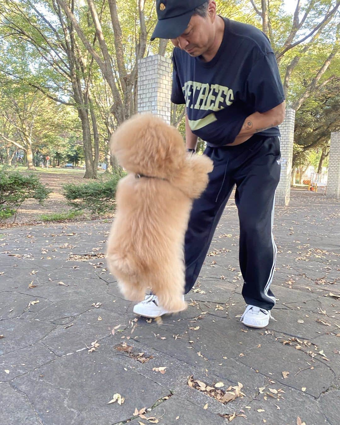 石野卓球のインスタグラム：「和田堀公園」