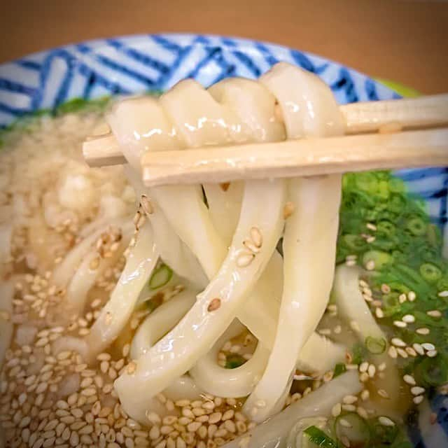 仁科貴さんのインスタグラム写真 - (仁科貴Instagram)「うどん県に行って来ました。麺が見えずにすみません😅 セルフトッピングで欲張り過ぎたの図…これはきっと初心者あるあるw いつしか麺とスープのシンプルな追求に重点を置いていくことでしょう。香川は四度目で、比較的滞在がながかったので色々探検&研究したんですが、今回のお気に入りは"釜かけ"… 水で〆る前の、釜から揚げたばっかりの麺をかけで戴きます🙏 写真は、さか枝うどん･本店さん‼️ カドがなくモッチモチの麺に、不思議な酸味の効いたワシ好みのスープ、そこにとり天ジュワ〜っと…😭 もう最高でしたの図ぅですm(_ _)m  #うどん #うどん県 #香川県 #盆栽ラップソディー #武田龍八 監督 #吉田愛美 #八木景子 #仁科貴」10月17日 20時38分 - takashi_nishina