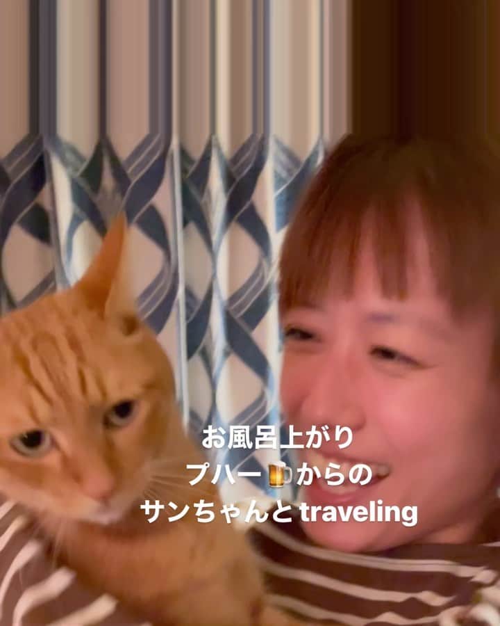甲斐麻美のインスタグラム：「🎤🎤🎤  猫抱っこして 歌うなし！  って言われちゃう？🫢  だって… サンちゃん可愛いんだ…  夕飯の後、 ふうふで 好きな曲流して あーでもない、こーでもない 色んな話しながら 飲むお酒が好きだ  hatoさん赤ワイン kaico白ワイン  お互いに好きなお酒を飲む そんで歌いたければ歌う←  いい時間です。  #20231017 #kaicoの好日 #元保護猫 #保護猫を家族に #すぐ替え歌にしちゃう」