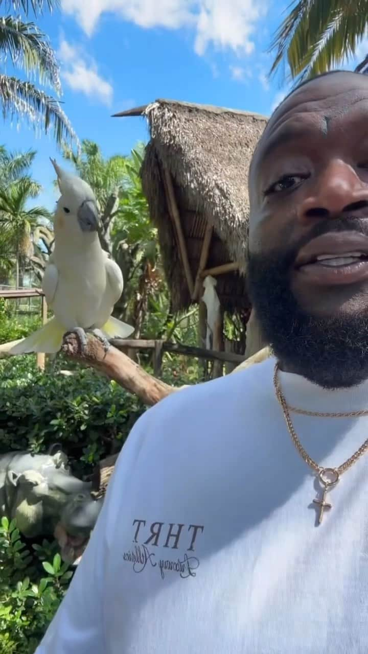 Zoological Wildlife Foundationのインスタグラム：「Your fave old world South East Asian cockatoo ‘Cacatua’ (yellow crest) showing off his skills to the 🐐 himself @richforever who spent time exploring all that @zwfmiami has to offer yesterday.   Fun fact: Most parrots can talk, and many parrots do, with training, but some parrots may never speak a word simply because of their individuality.  Join us and meet our animal ambassadors by booking your tour 📞 (305) 969-3696 or visit ZWFMiami.Com.  #wildlife #zwfmiami #monday #cockatoo  #thingstodoinmiami #oldworldparrot #rickross」