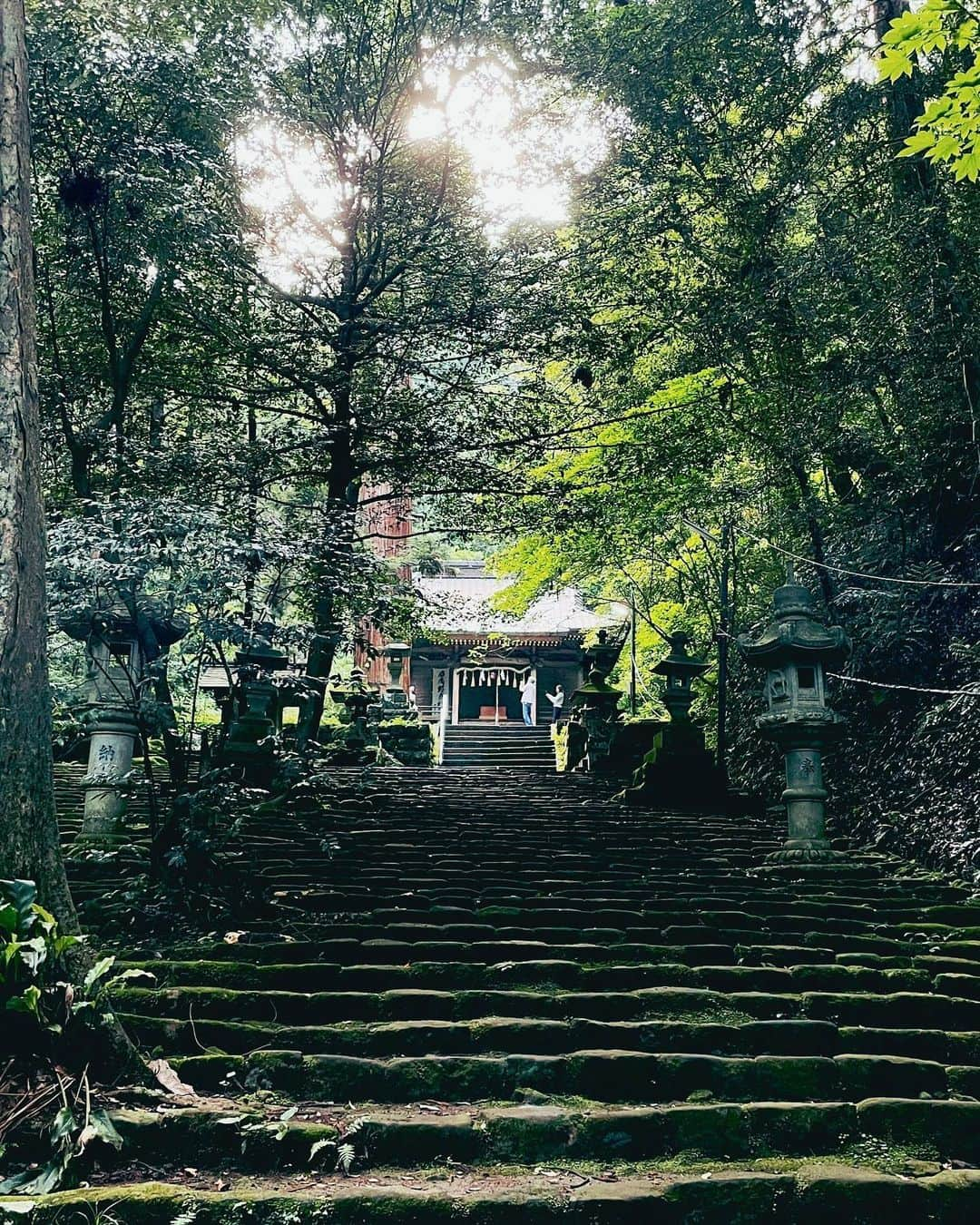 のインスタグラム：「異世界へ誘われるような感覚がした八幡宮来宮神社。  #伊東市 #伊東の暮らし #伊東のいいとこ #わたしといとうと #八幡宮来宮神社 #神社  #ito #izu #japanview #shrine」