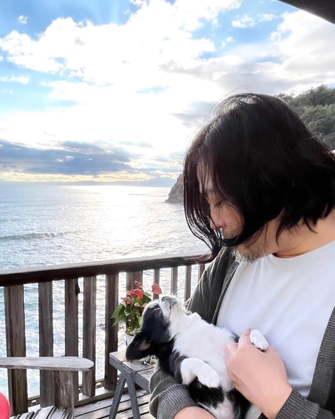フルカワミキのインスタグラム：「犬寝せの名人に寝せられる犬 シリーズ ・ ・ ・ 犬寝せ名人→ @nakakojp  #japanesechin #chihuahua #mix犬 #dog #狆 #チワワ #dog #犬寝せの名人 #ナカコー #Nakako #kojinakamura」
