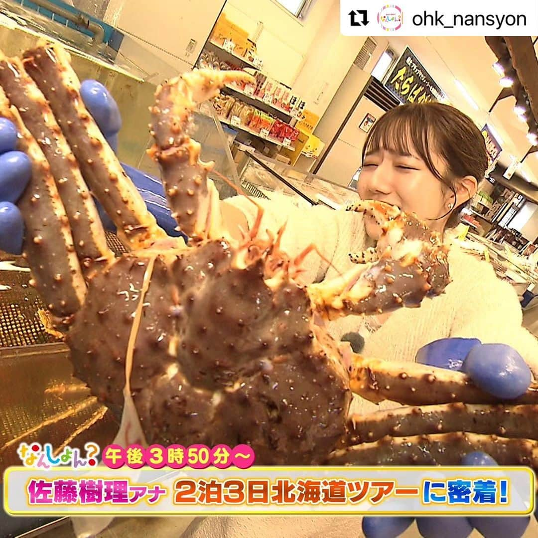 岡山放送さんのインスタグラム写真 - (岡山放送Instagram)「このあと午後3時50分〜なんしょん？  🧡岡山香川から行ける！ 北海道の魅力がたっぷりつまった観光ツアーを エリアを飛び出して 🔰佐藤樹理アナが体当たりリポート！ 海の幸にスイーツ、大自然など大満喫！  🧡視聴者参加型コーナーミルンへカモン！ 期間限定公開のアートをPR！  🧡近年関心が高まるフレイル予防について  お見逃しなく！！  #なんしょん？ #OHK #情報番組 #北海道 #北海道旅行 #北海道グルメ #北海道観光 #北海道スイーツ #北海道土産 #有隣荘 #岡山リベッツ #白神宏佑 監督 #田添響 選手 #萩原渉 #藤本紅美 #佐藤樹理 #アナウンサー」10月17日 13時15分 - ohk_official